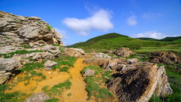 Landschaft des rötlichen Geländes nahe dem Meer mit grünem Gras und blauem Himmel