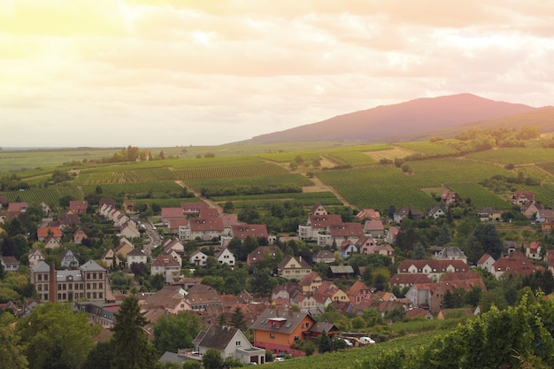 Landschaft des romantischen kleinen Dorfs mit Weinberg Barr, Frankreich