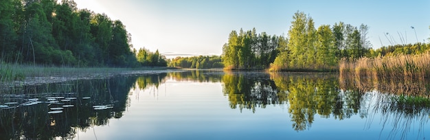 Landschaft des schönen Waldsees im Abendlicht