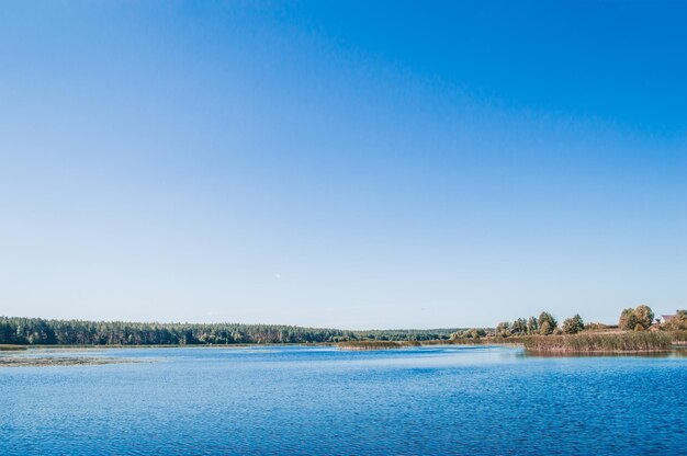 Landschaft des Sees mit grünem Wald am Horizont und klarem blauem Himmel