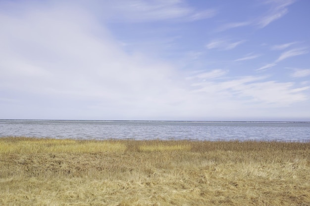 Landschaft des Sees oder der Lagune vor einem Himmelshintergrund mit Kopierbereich Golf mit Schilf und wildem Gras, das an der leeren Küste in Norwegen wächst Friedliche, ruhige und landschaftlich schöne Lage in der Natur