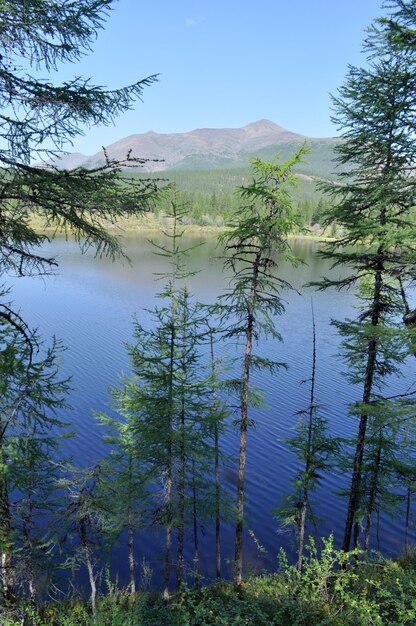 Landschaft des Sees und Reflexionen der Berge