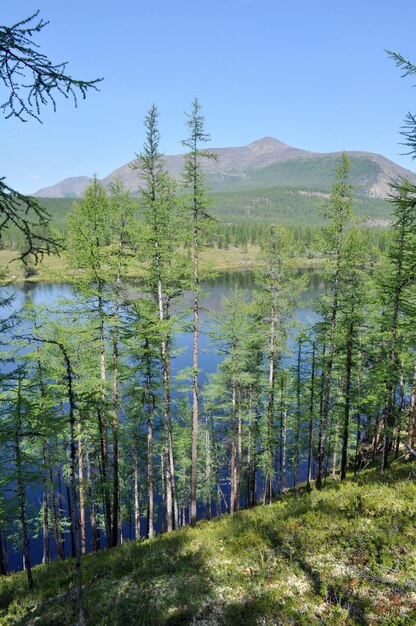 Landschaft des Sees und Reflexionen der Berge