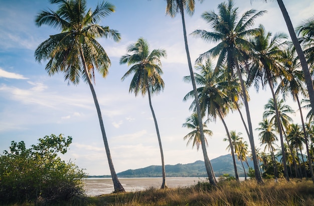 Landschaft des tropischen Inselstrandes des Paradieses