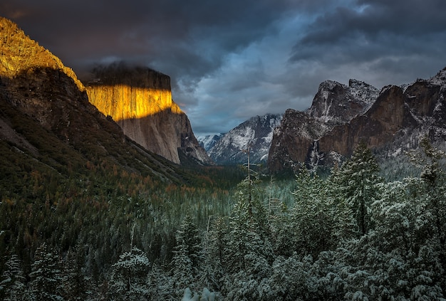 Landschaft des Yosemite Nationalparks