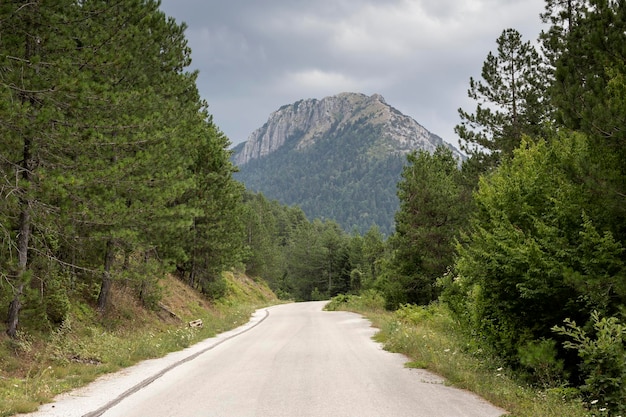 Foto landschaft die straße in den bergen an einem bewölkten sommertag region epirus griechenland