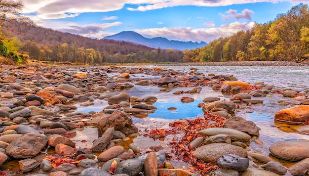 Landschaft eines Gebirgsflusses mit einem Wald am Ufer im Herbst