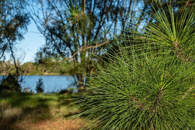 Landschaft eines Sees in Canelones Uruguay