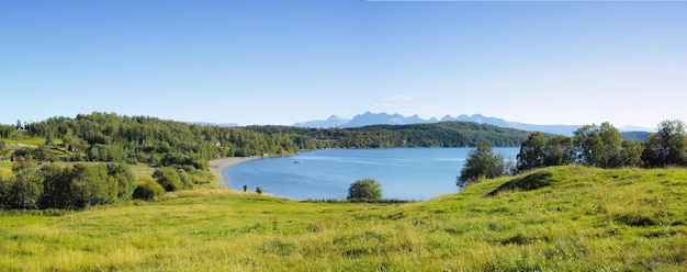 Landschaft eines Sees mit Bäumen in der Nähe eines Feldes Grüne Hügel am Meer mit blauem Himmel in Norwegen Eine ruhige Lagune in der Nähe einer lebhaften Wildnis vor einem hellen bewölkten Horizont Friedliche wilde Naturszene