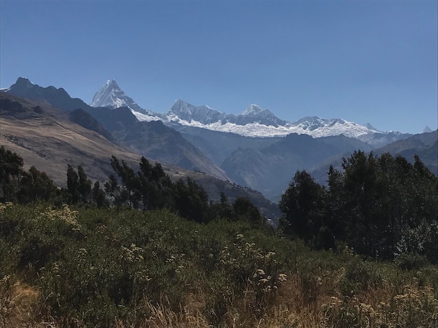 Landschaft eines Waldes unter den Bergen und schneebedeckt