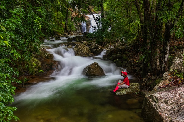 Foto landschaft eines wasserfalls in einem wald