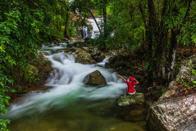 Foto landschaft eines wasserfalls in einem wald