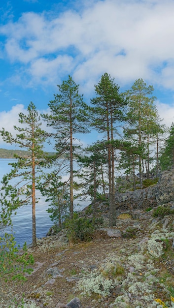 Landschaft Felsiges Seeufer an einem Sommertag