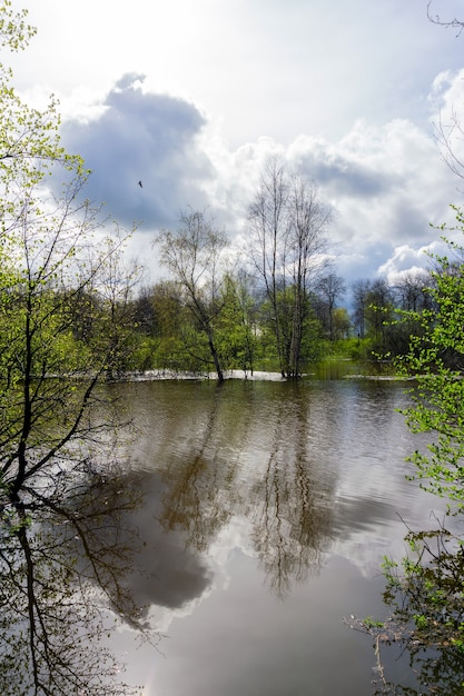 Landschaft - Frühlingsbaum bei Hochwasser überflutet