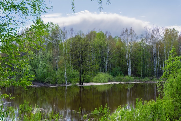Landschaft - Frühlingsbaum bei Hochwasser überflutet