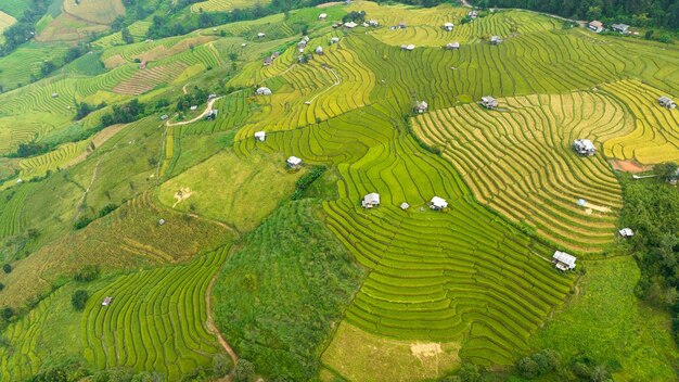 Landschaft für den Hintergrund von Reisterrassenfeld nach Erntezeit in Ban Pa Bong Piang