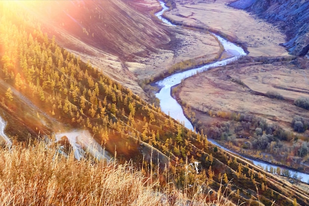 landschaft gelbe lärche schöner herbstwald, ökologie klimawandel