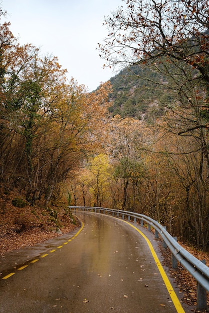 Landschaft Herbstsaison an regnerischen Tagen Road Travel und gelbe Blätter