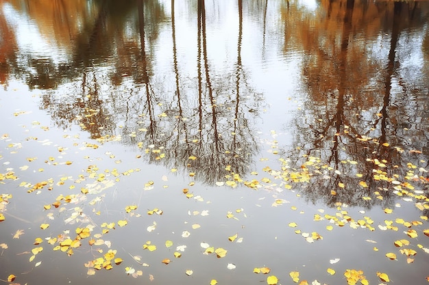 Landschaft Herbstteich / gelbe Bäume im Park in der Nähe des Teiches, Landschaft Natur Oktober Herbst