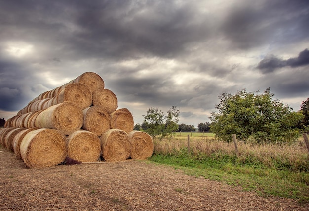 Landschaft Heu auf dem Feld vor dem Hintergrund grauer Wolken im Sommer