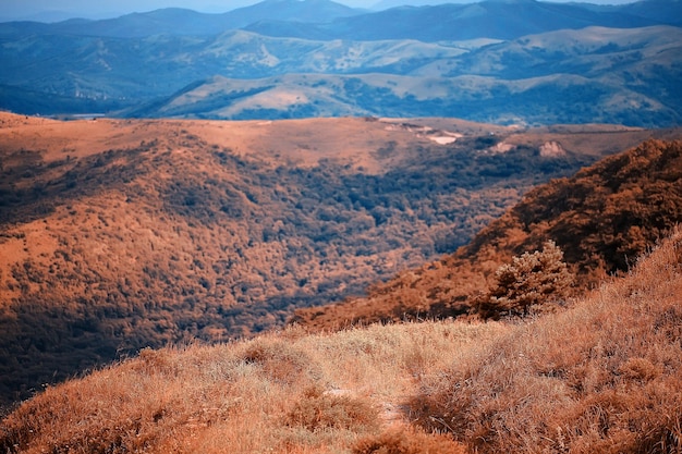 Landschaft Hügel mit Wald