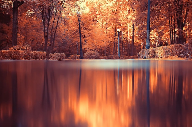 Landschaft im Herbst Park / Konzept Natur saisonale Landschaft Jahreszeit, Herbst, Wald, Bäume Altweibersommer