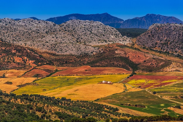 Landschaft im ländlichen, Andalusien, Spanien.