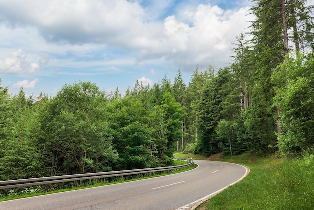 Landschaft im Schwarzwald im Südwesten Deutschlands