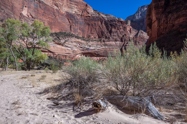 Foto landschaft im zion nationalpark utah