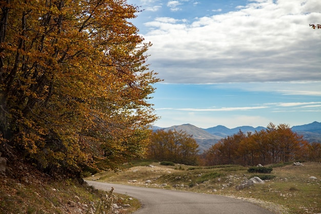 Landschaft in den Bergen Berge am Morgen Tierwelt Berglandschaft