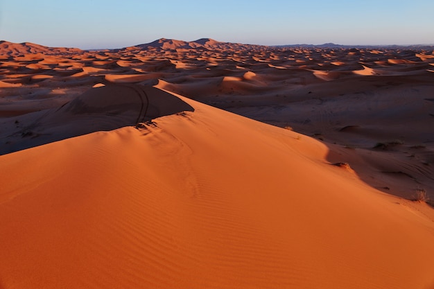 Landschaft in der Sahara