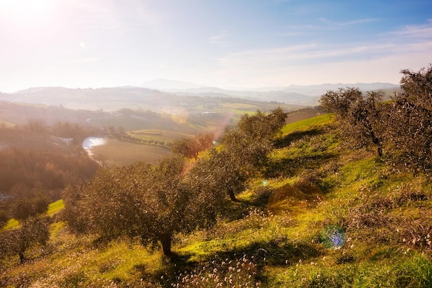 Landschaft in landwirtschaftlichen Feldern im Herbst zwischen Hügeln