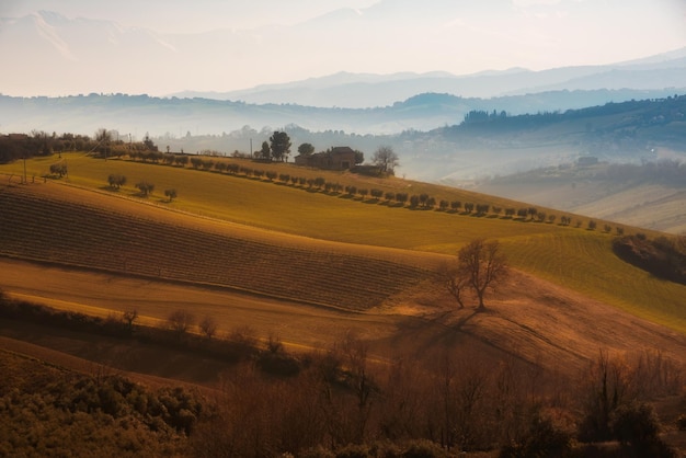 Landschaft in landwirtschaftlichen Feldern im Herbst zwischen Hügeln