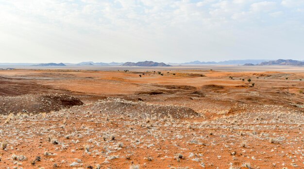 Landschaft in Namibia