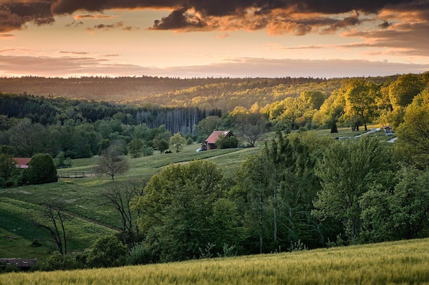 Foto landschaft mit bäumen und hügeln