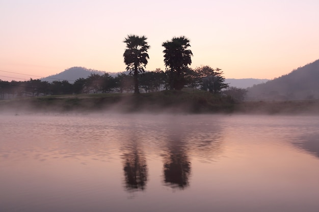 Landschaft mit Bergbäumen und einem Fluss vor der Morgendämmerung