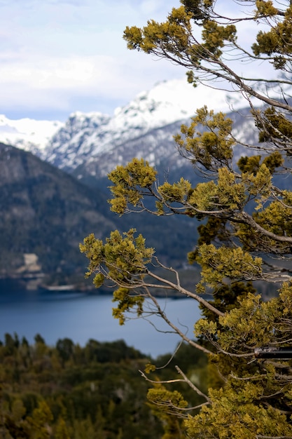 Landschaft mit Bergen, See und Baum