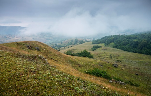 Landschaft mit Bergen und Feldern mit Blumen an einem bewölkten Sommertag nach Regen mit Dunst