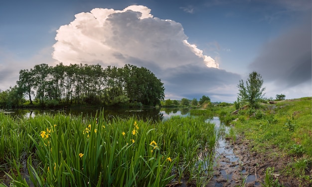 Landschaft mit Blumen am Flussufer