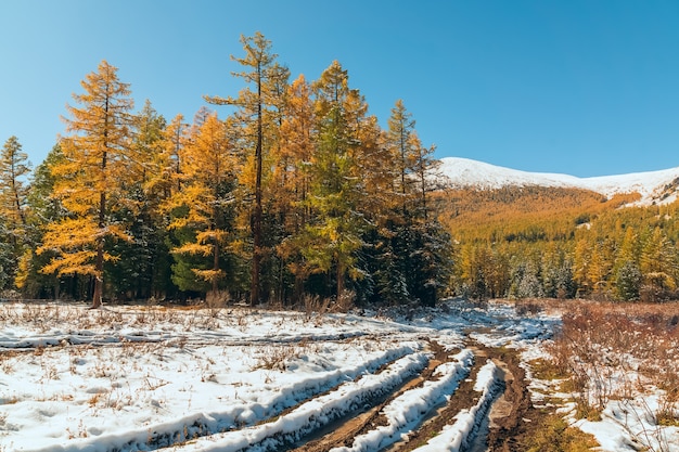 Landschaft mit den Altai-Bergen, Russland.