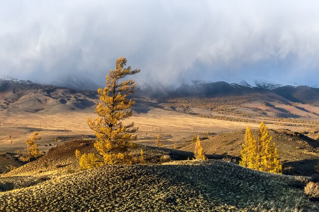 Landschaft mit den Altai-Bergen, Russland.