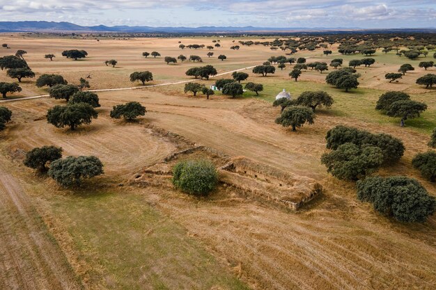 Landschaft mit einem alten viehbestand in der dehesa de la luz spain