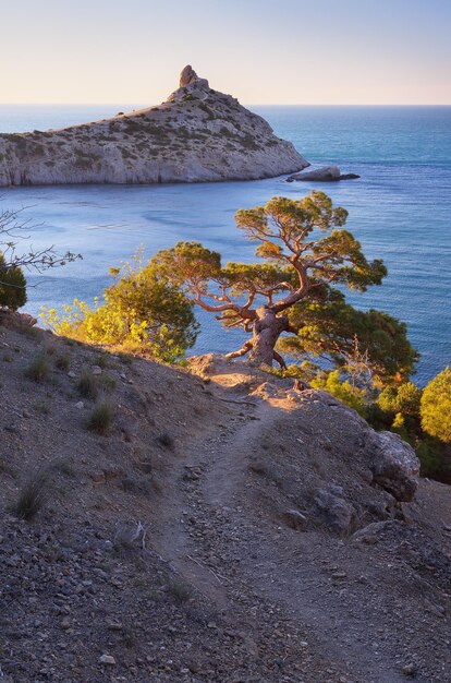 Landschaft mit einem Badeort. Blick vom Berg auf das Meer, Buchten und Kaps. Schönes Licht der Abendsonne. Halbinsel Krim. Ukraine, Europa