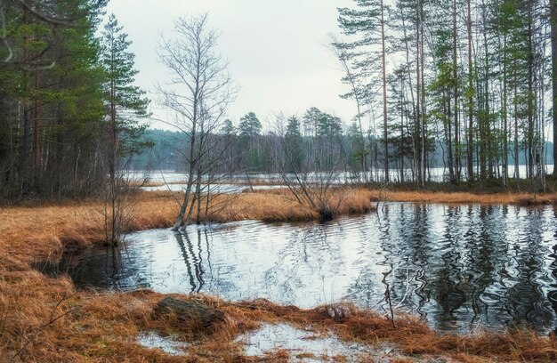 Landschaft mit einem nördlichen See im Spätherbst.