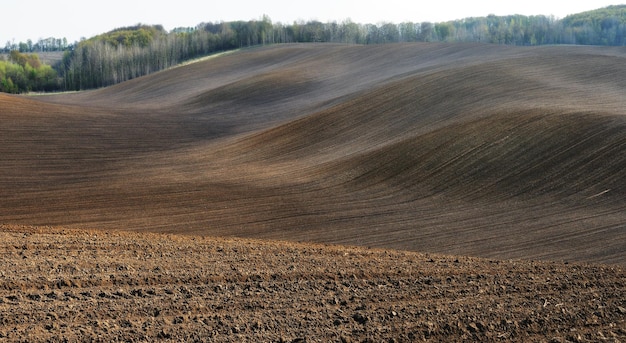 Landschaft mit Feldern und Hügeln