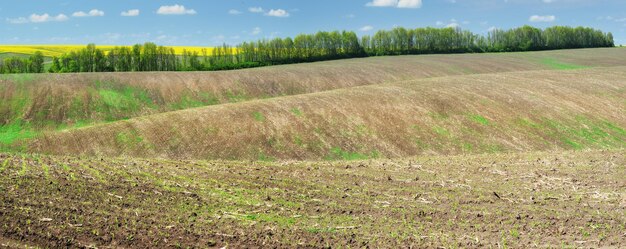 Landschaft mit Feldern und Hügeln