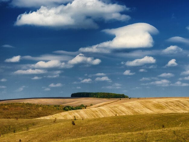 Landschaft mit Feldern und Hügeln