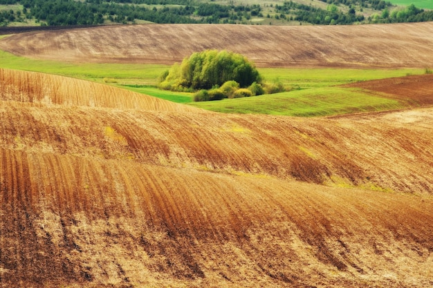 Landschaft mit Feldern und Hügeln