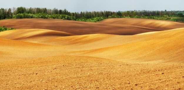 Landschaft mit Feldern und Hügeln