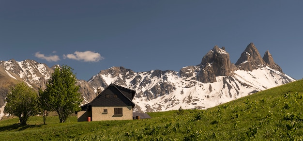 Landschaft mit Flores im Vordergrund und Bergen Croix de Fer im Hintergrund in den französischen Alpen